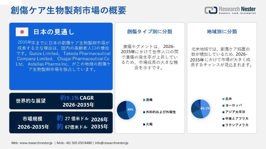 Wound Care Biologics Market Overview
